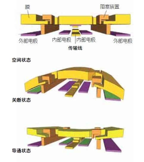 ����4G/5G����һ����Ƶ���ؽ�����������ӹ���ר����