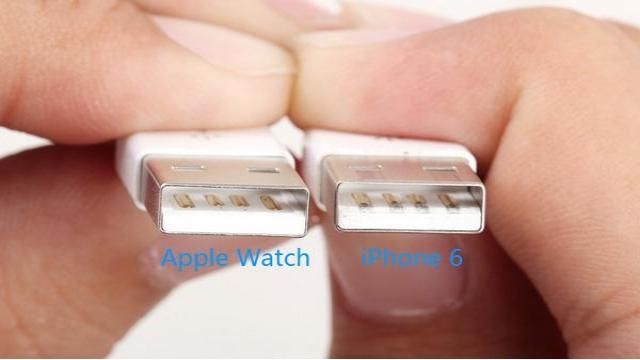 Teardown Apple Watch Charging line