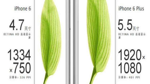 iPhone 6/Plusߴ