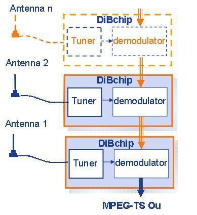 DIBCOM˾ר